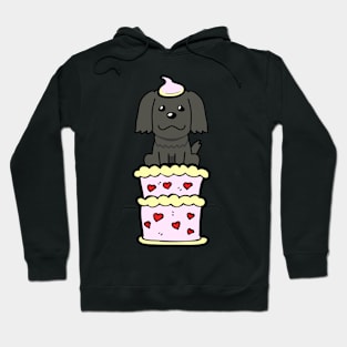 Happy black dog Jumping out of a cake Hoodie